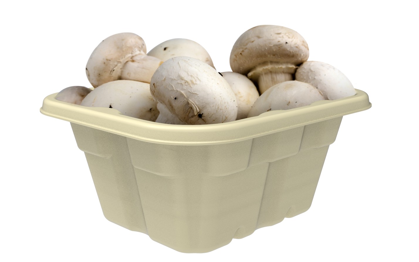 Mushroom